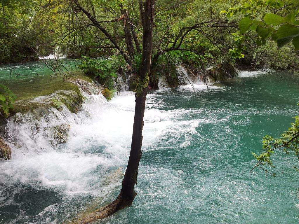 Guest House Family Varda Plitvice Lakes Plitvička Jezera Buitenkant foto